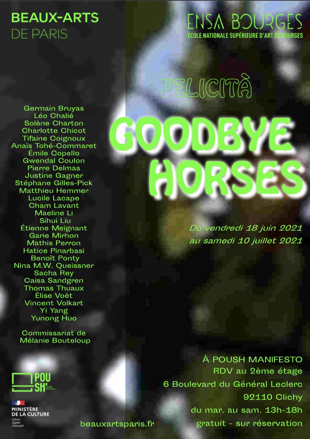 Félicitas-Goodbye-Horses